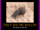 Rollin'...